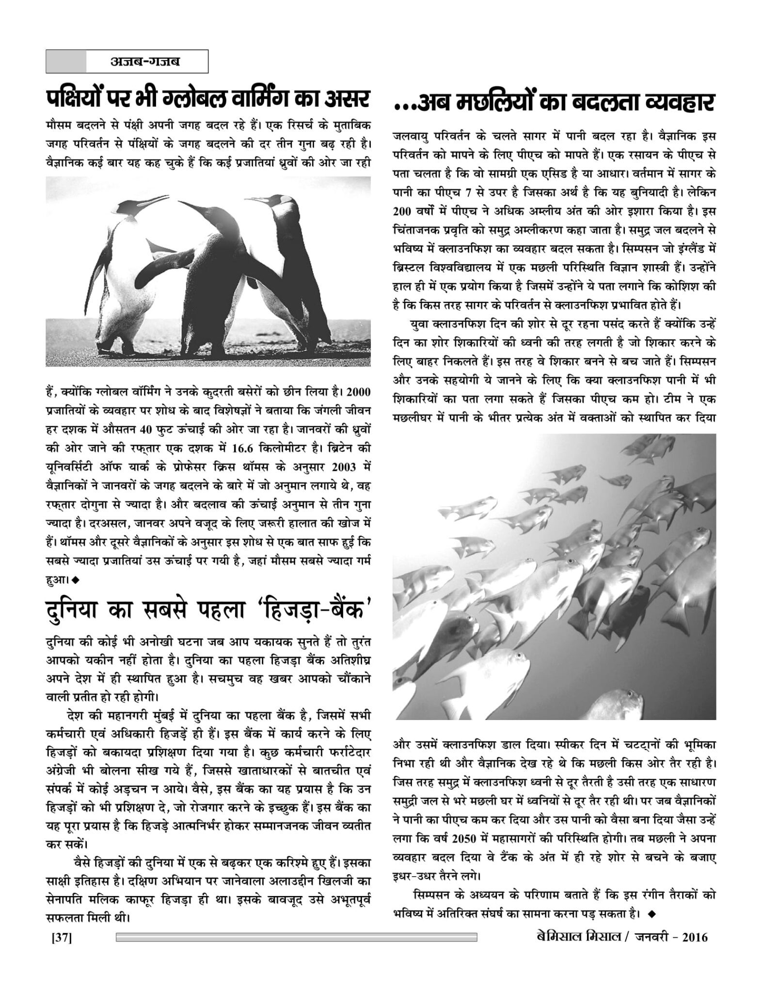 BEMISSAL JAN. - 2016-39
