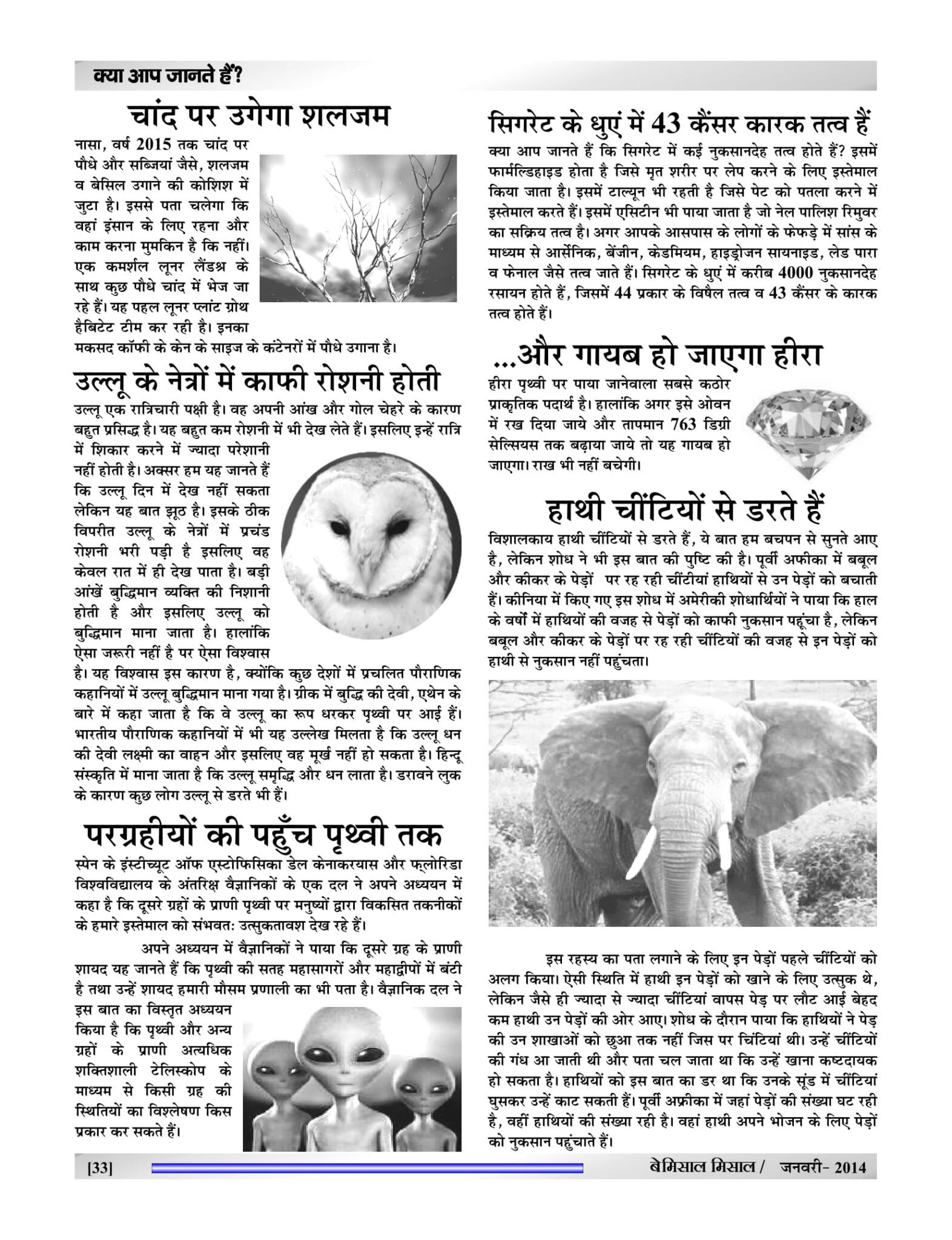 BEMISSAL Jan - 2015-35