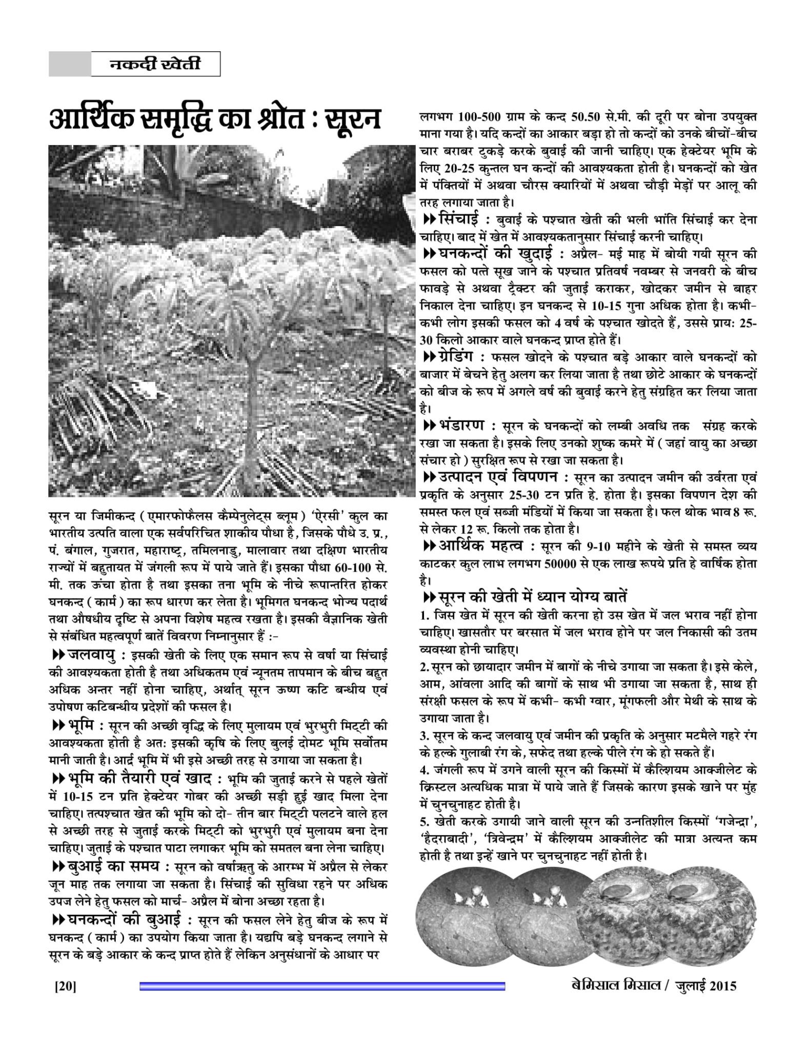 BEMISSAL July - 2015-22