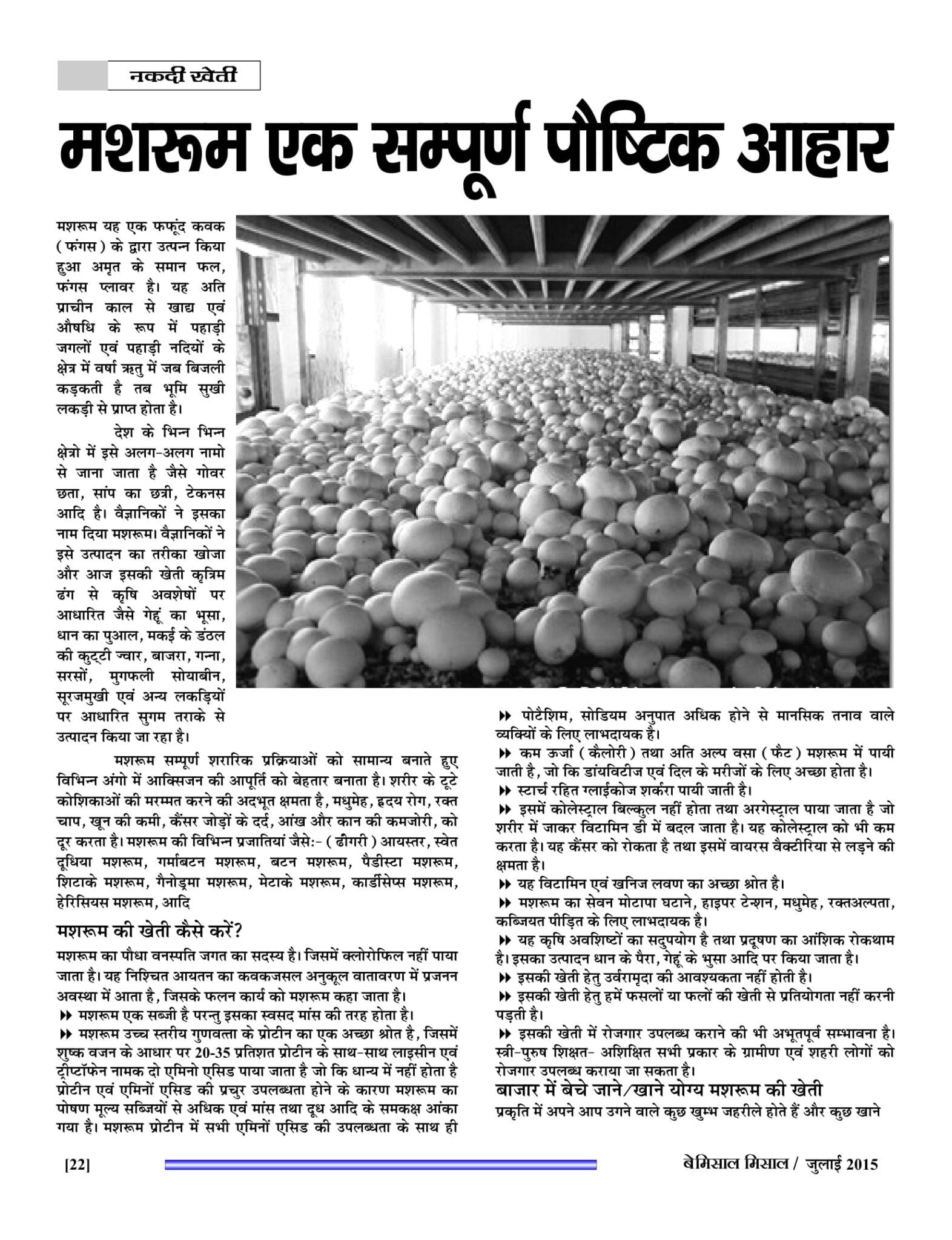 BEMISSAL July - 2015-24