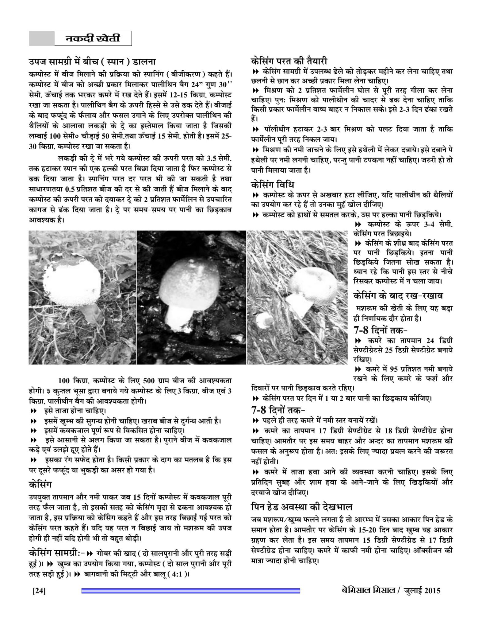 BEMISSAL July - 2015-26