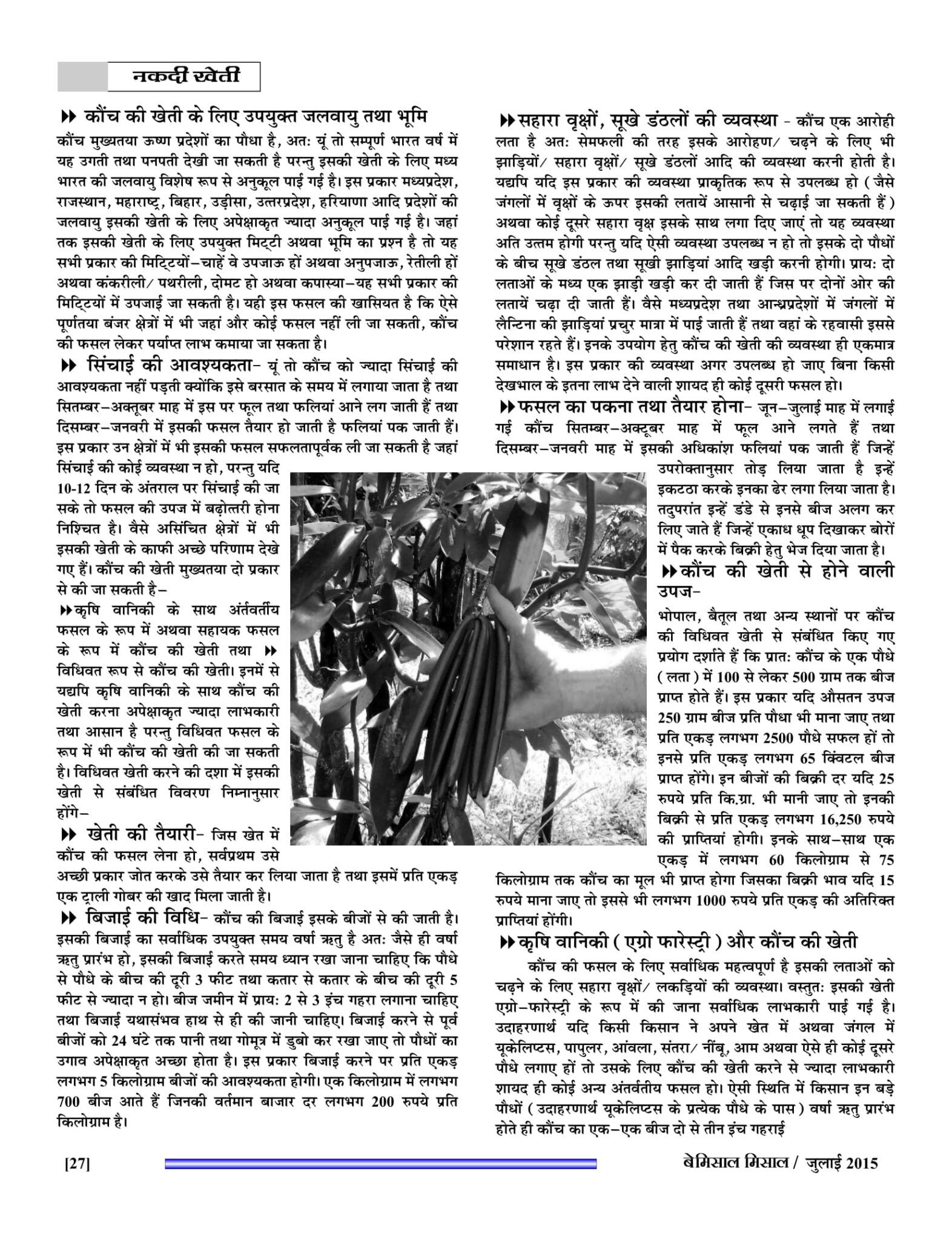 BEMISSAL July - 2015-29