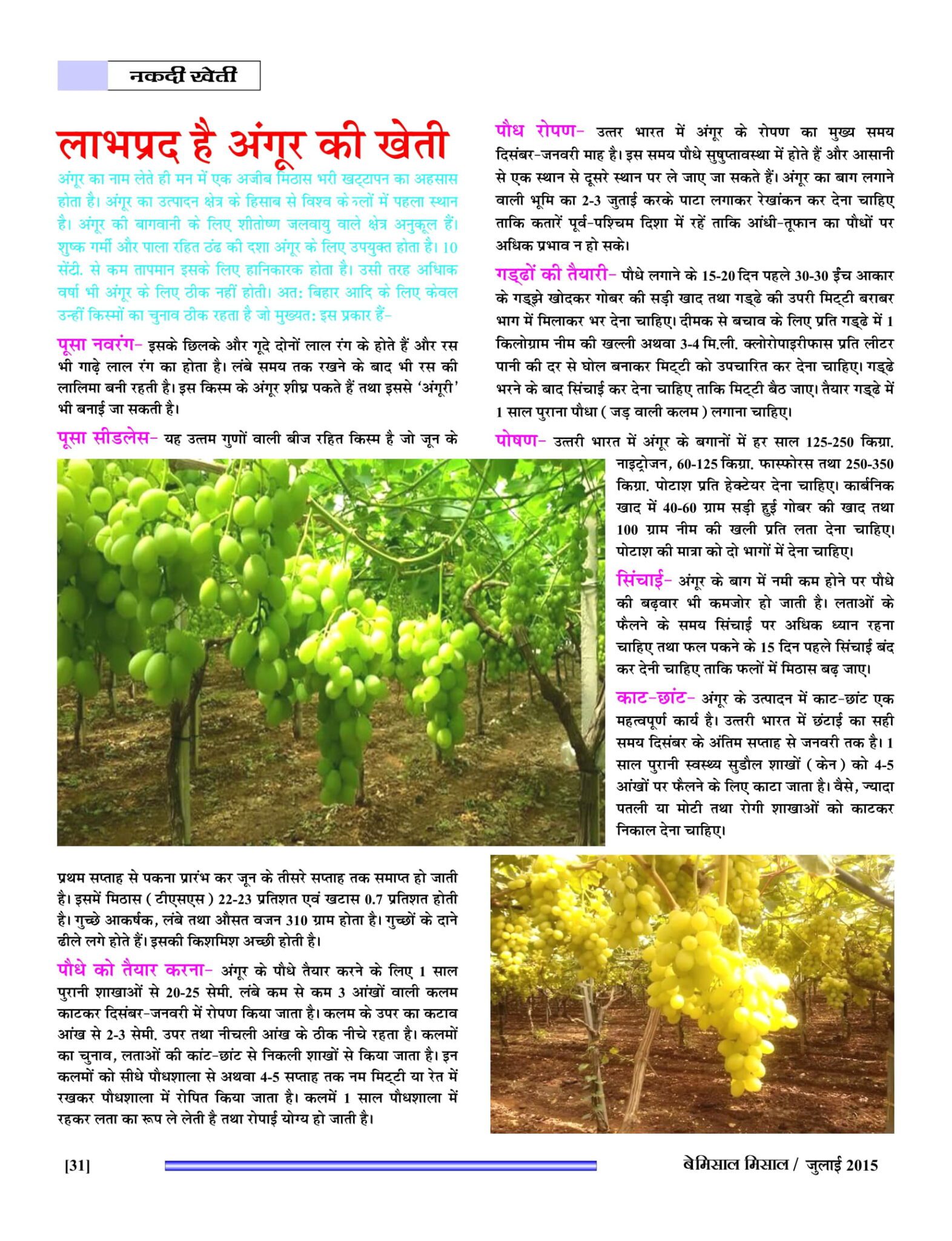 BEMISSAL July - 2015-33