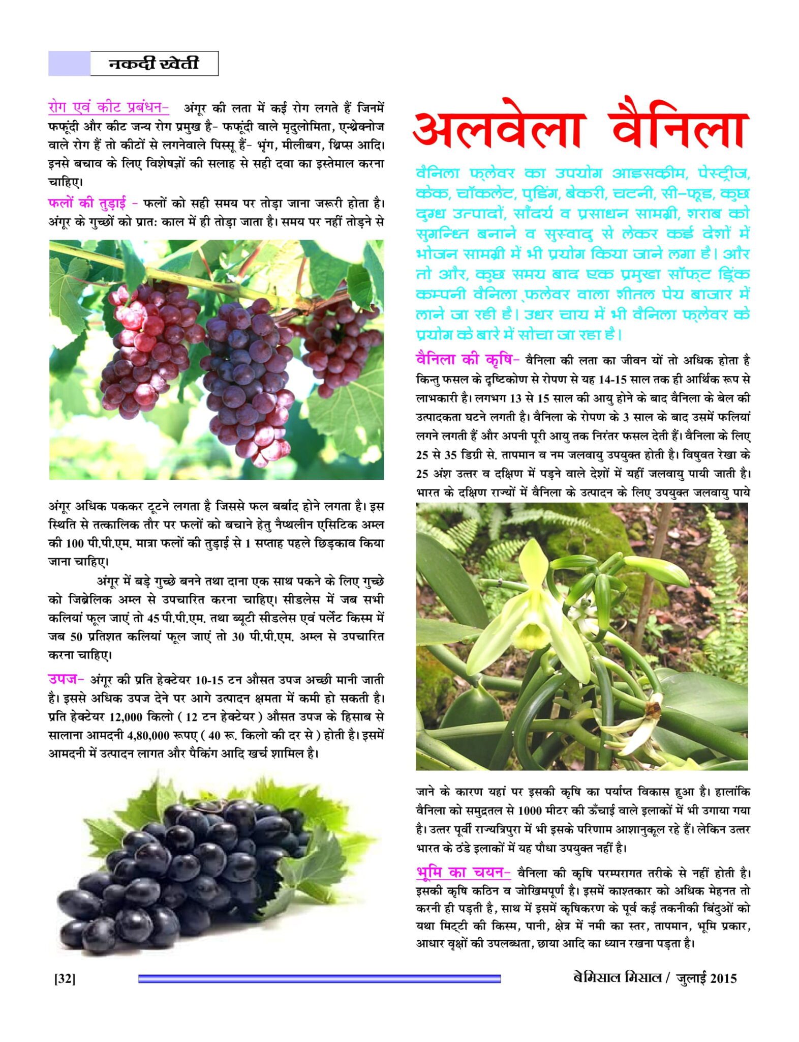 BEMISSAL July - 2015-34