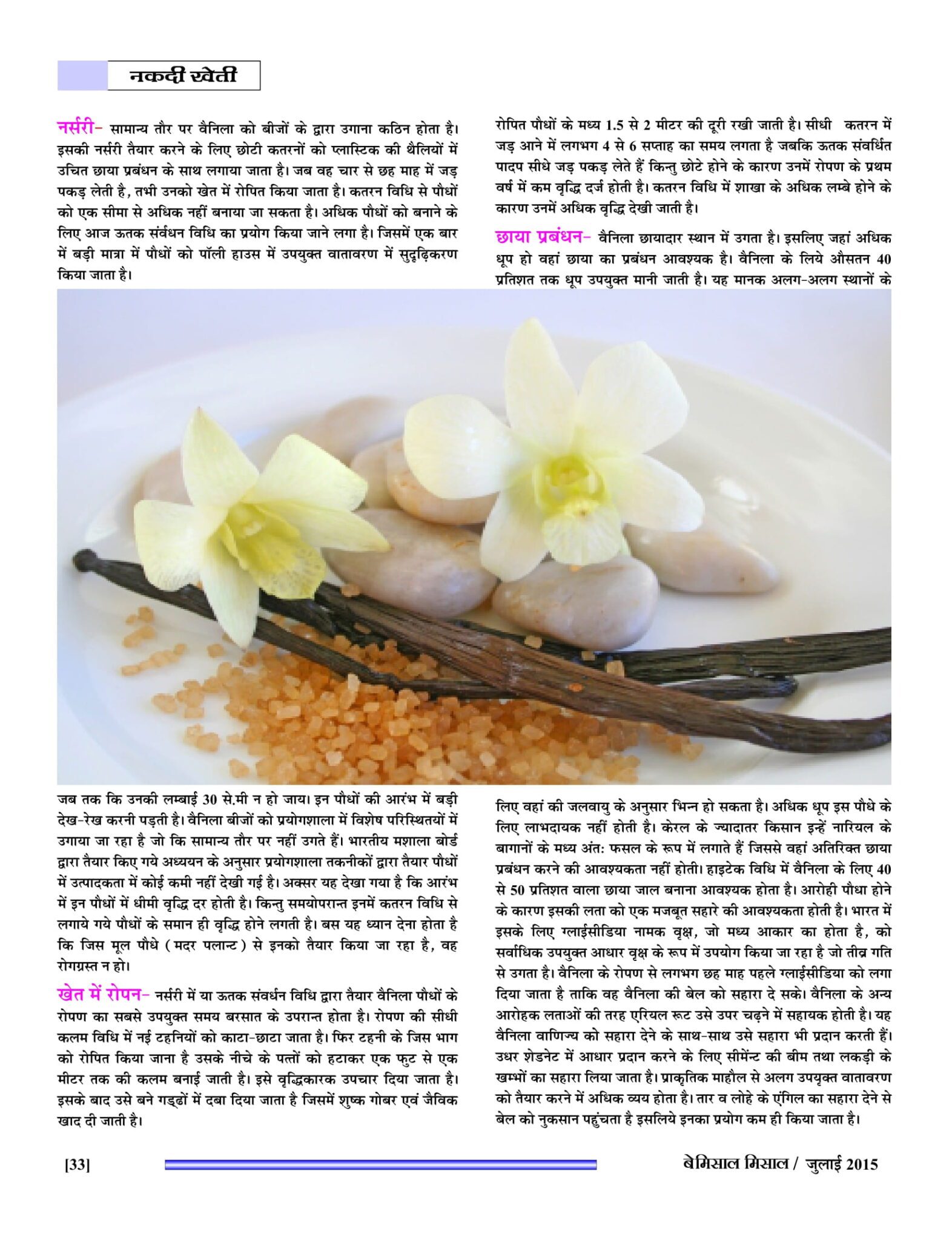 BEMISSAL July - 2015-35