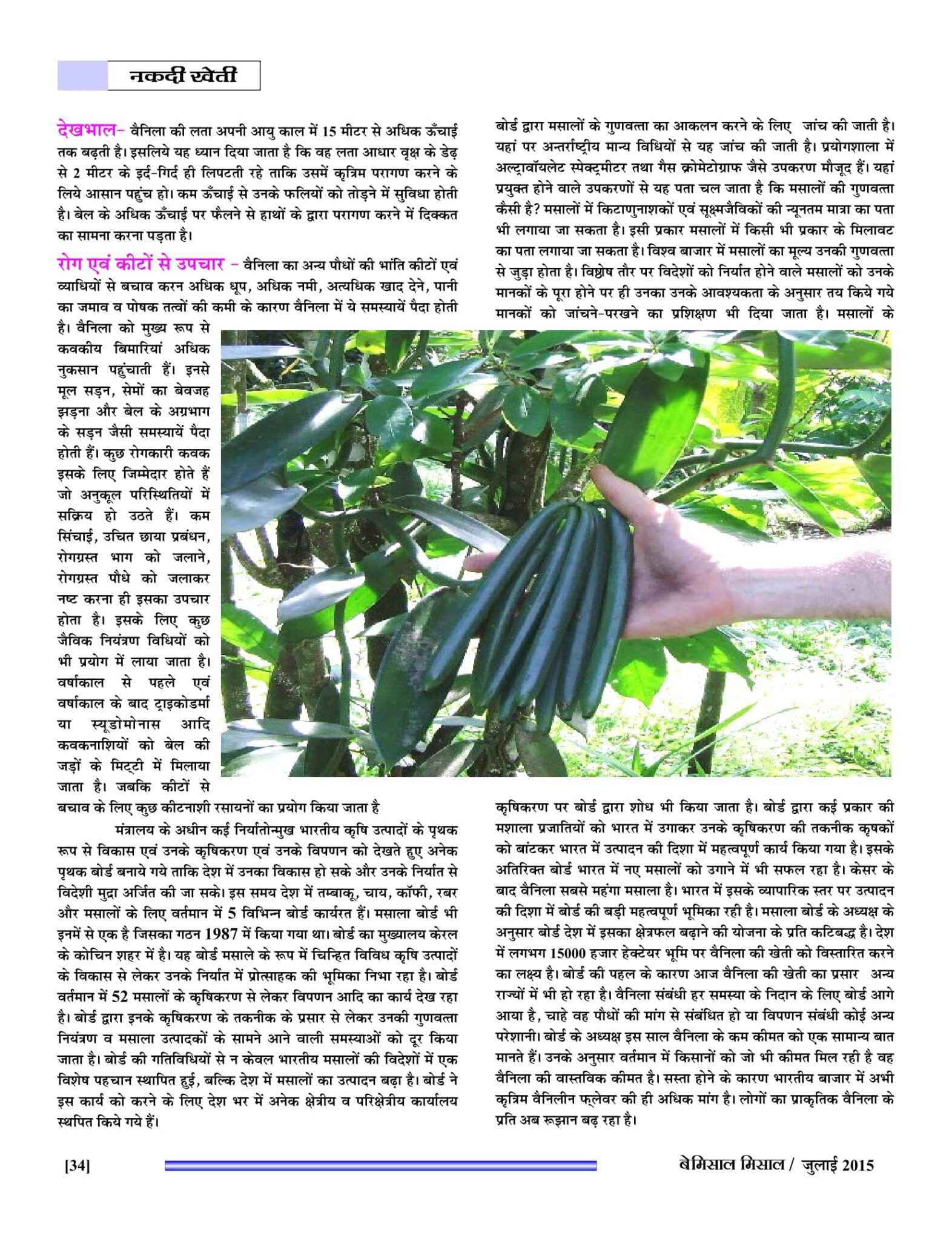 BEMISSAL July - 2015-36