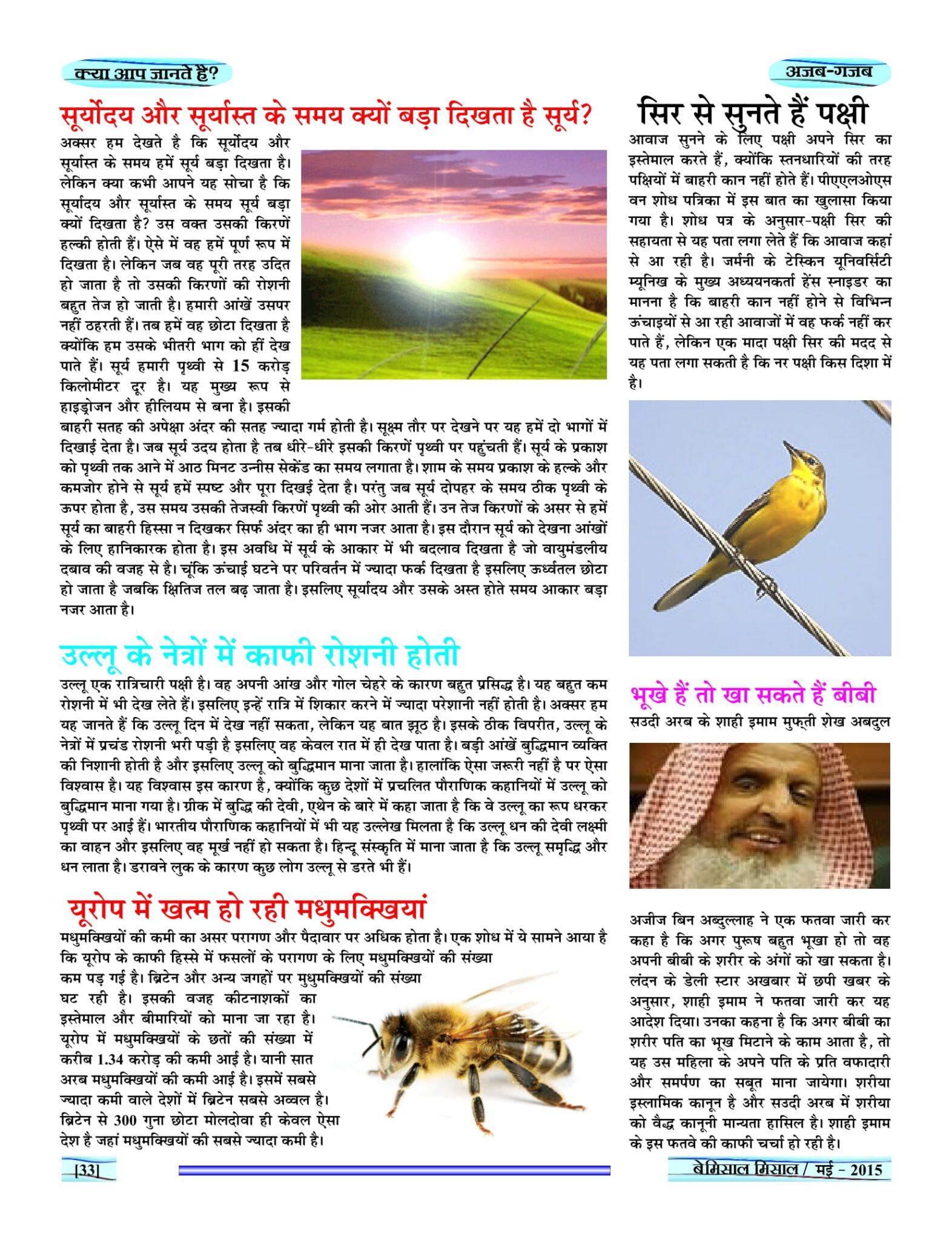 BEMISSAL May - 2015-35