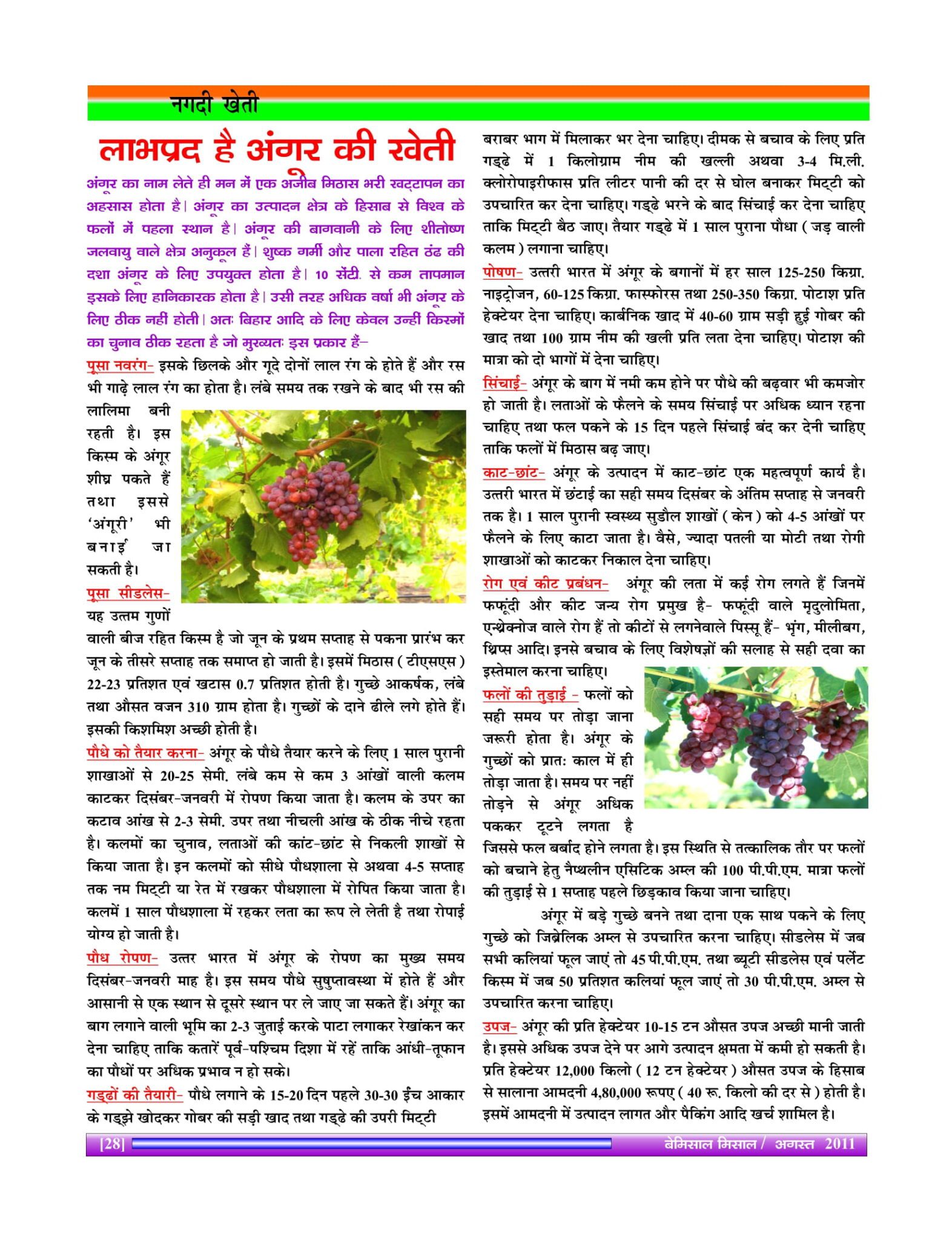 Bemissal - Aug-2011-30