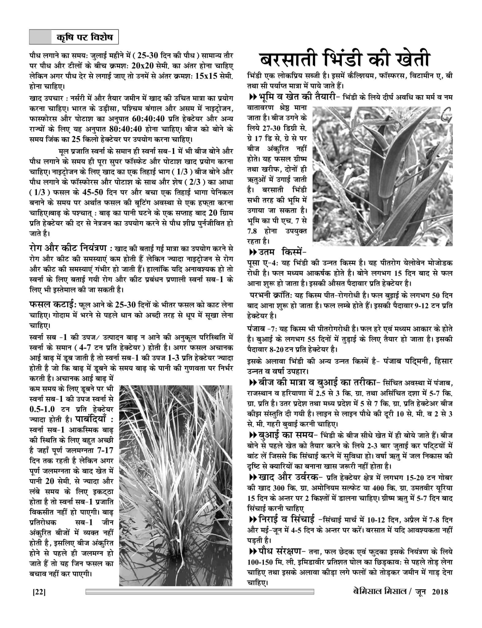 Bemissal June-18-24