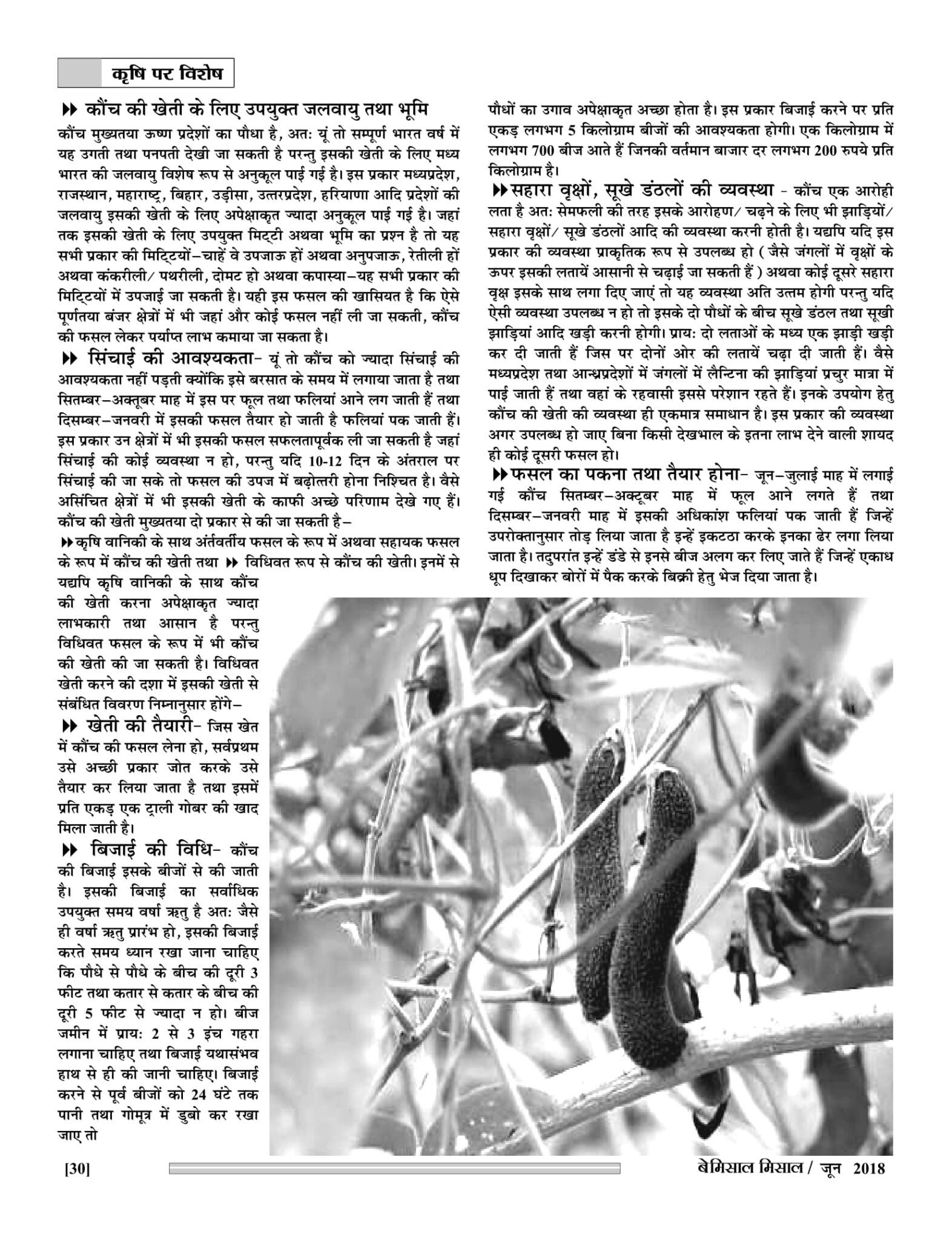 Bemissal June-18-32