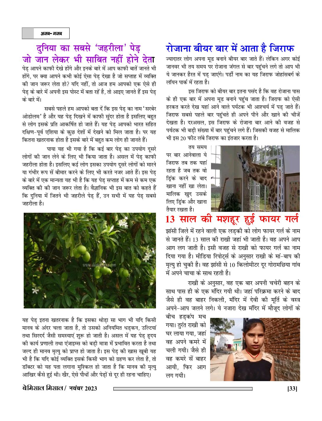 E-Magazine Bemissal Nov. 2023_page-0033